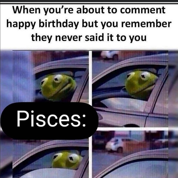 Meet your Posher, Ruby - Picture 1 of 1